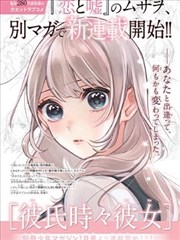 下女2010年翻拍版版本说明图